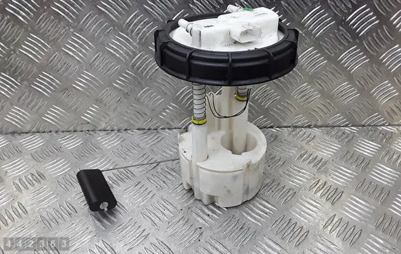 Nissan Juke I F15 Fuel injection high pressure pump 09701687000