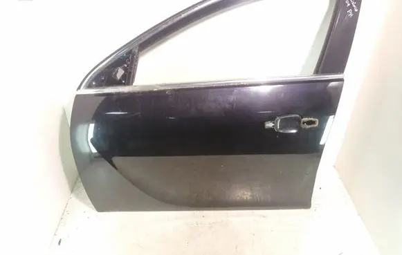 Opel Insignia A Front door