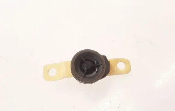 Front door high frequency speaker