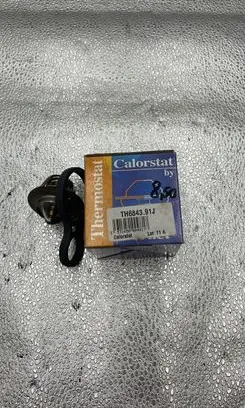 Chrysler Neon I Thermostat TH684391J 04495721 04573560AB
