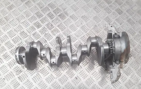 Renault Clio IV Crankshaft 8200391938 310R KNC