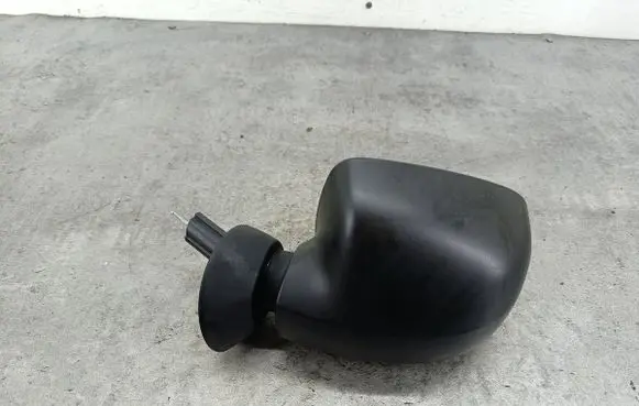 Dacia Sandero Front door electric wing mirror