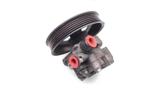 KIA Carnival Power steering pump 