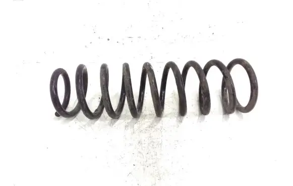 Mitsubishi Outlander Rear coil spring
