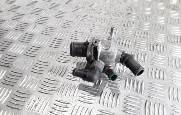Thermostat/thermostat housing