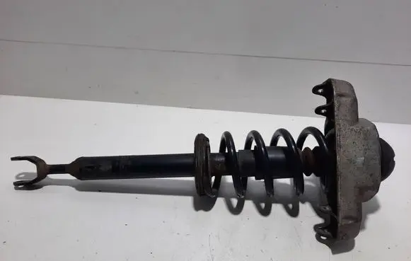 Front shock absorber with coil spring
