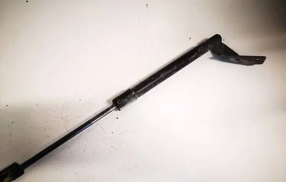 Tailgate/trunk strut/damper