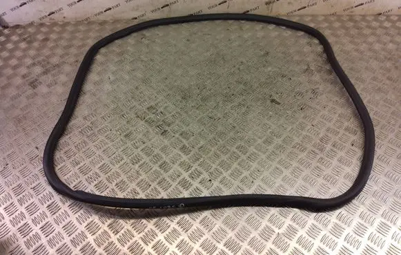 Opel Insignia B Front door rubber seal 