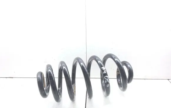 Rear coil spring