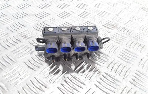 Hyundai Santa Fe LP gas injector 67R010199
