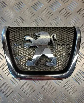 Peugeot 807 Front grill 1490016077