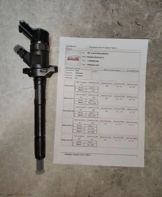 Volvo V50 Fuel injector 0445110259