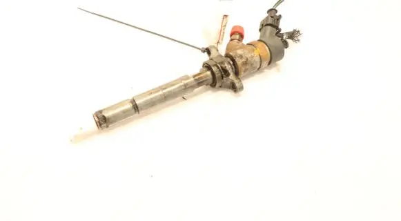 Ford C-MAX I Fuel injector 0445110188