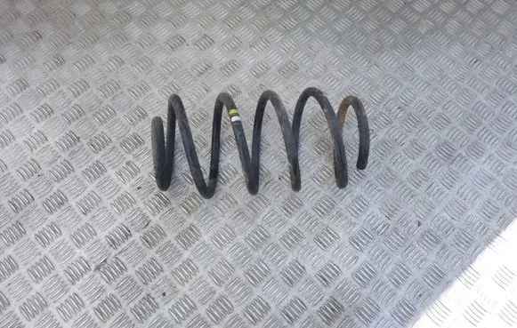 Front coil spring