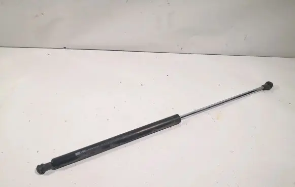 Tailgate/trunk strut/damper