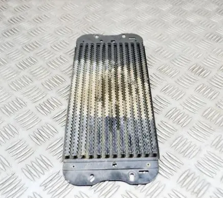 Renault Master III Fuel cooler (radiator) X62175103180R 175103180R