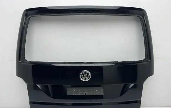 Volkswagen Multivan T6 Front door T61KLAPASUL1
