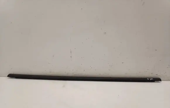 Volkswagen ID.4 Rear door glass trim molding