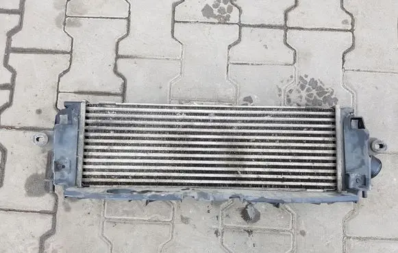 Renault Trafic II (X83) Intercooler radiator 8200411160C