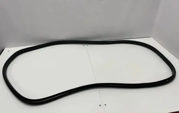 KIA EV6 Rubber seal rear door 