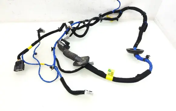 Hyundai Ioniq Front door wiring loom 91610G2010