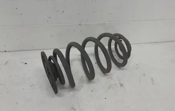 Rear coil spring