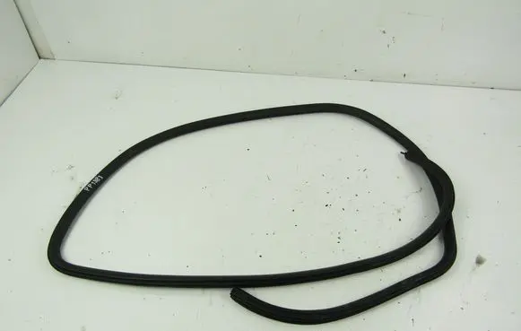 Ford Focus C-MAX Front door rubber seal 