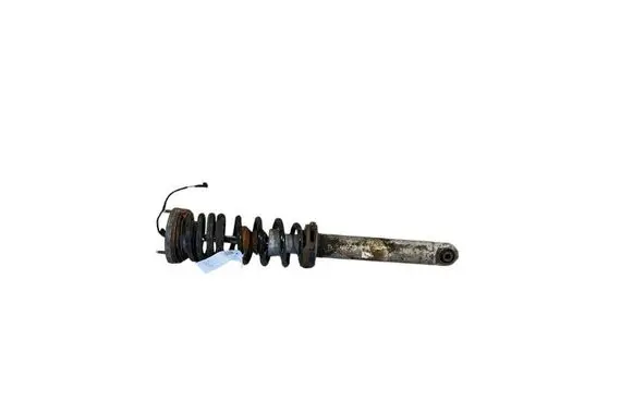 BMW M5 Rear shock absorber with coil spring 7850117