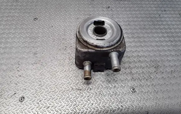 Oil filter mounting bracket