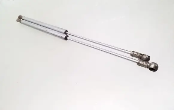 Tailgate/trunk strut/damper