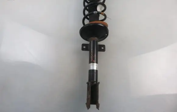 Dacia Duster Rear shock absorber with coil spring 