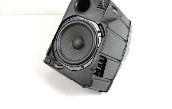 Tesla Model 3 Subwoofer speaker 107974799B 430407772512 0701191718A