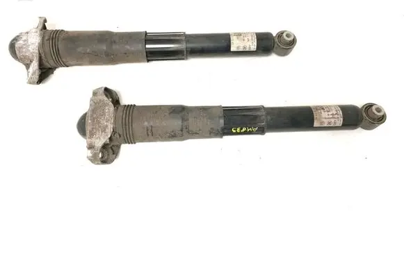 Volkswagen ID.4 Rear shock absorber/damper 1EA512013AS