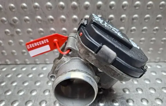 Throttle body valve