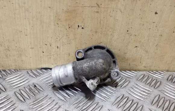 Thermostat/thermostat housing