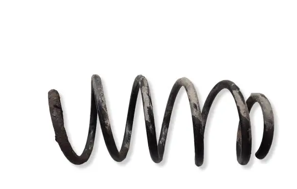 Volkswagen PASSAT B6 Front coil spring 