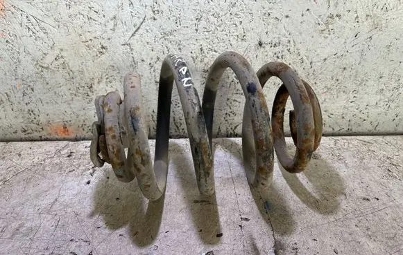 Rear coil spring