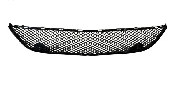 Mercedes-Benz S C217 Front bumper lower grill A2178850053