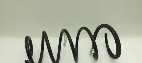 Ford Mustang V Front coil spring 6R335310CA 611844