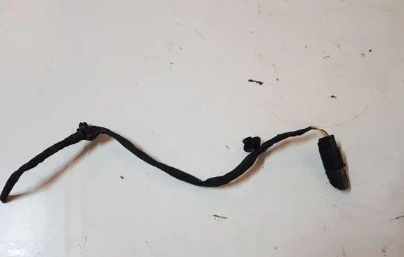 Ford Mustang VI Other wiring loom SMUGINISDAVIKLIS