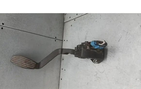 Fiat Punto (199) Accelerator pedal position sensor 46829061