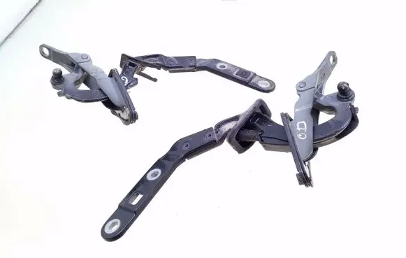 Tailgate/trunk/boot hinge