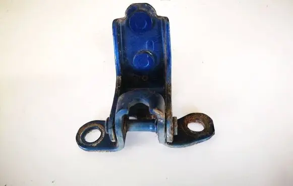 Rear door lower hinge
