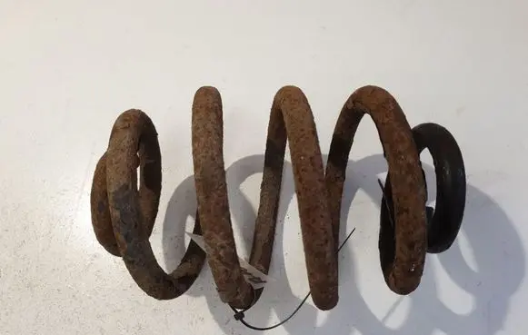 Rear coil spring