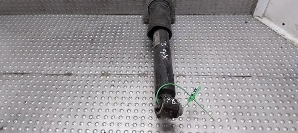 BMW X6 E71 Rear shock absorber/damper 6788512