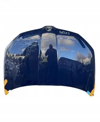 Skoda Fabia Mk3 (NJ) Engine cover (trim)