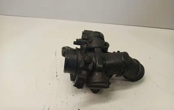 Citroen Berlingo Throttle valve 9660030580 25365286