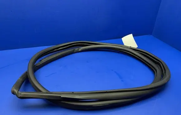 Toyota C-HR I Rear door rubber seal (on body) CHR