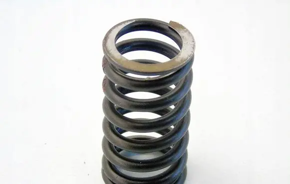 Skoda Fabia Mk1 (6Y) Valve spring