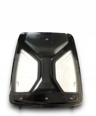 BMW 5 G30 G31 Front seat light 5A69AC0